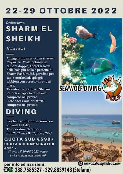 Viaggio-Sharm-El-Sheikh-22_29-ottobre-2022.webp